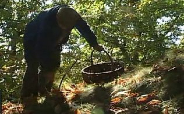 AUDIOGUIDE: Ardèche - 2