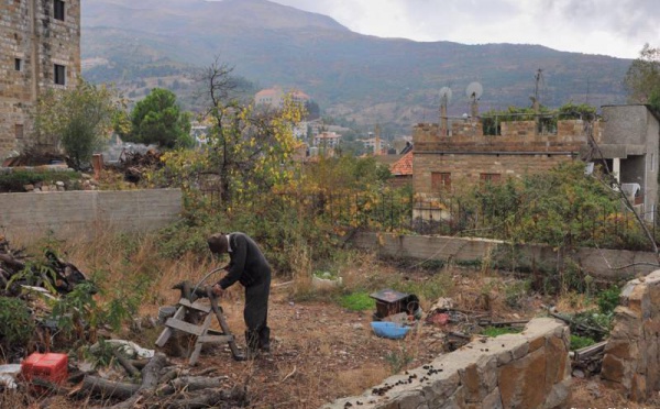 L’IMAGE DU JOUR – Couper le bois