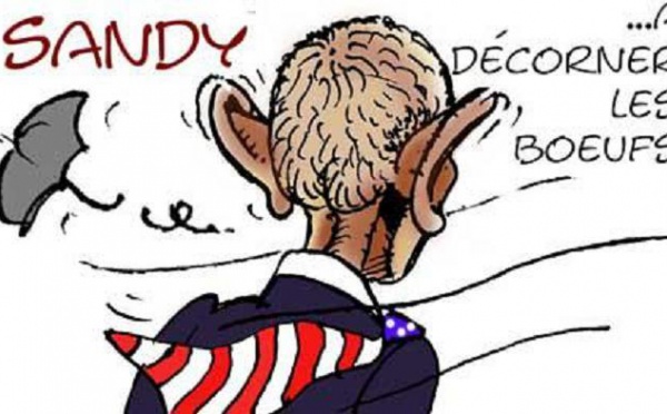 DESSIN DE PRESSE: Les Sandy plages submergées