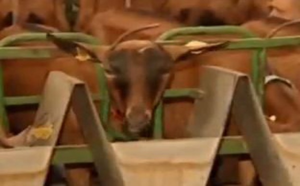 AUDIOGUIDE: Art de vivre en Beaujolais - 4