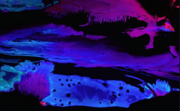 Le1f et Boody inventent le hip hop du futur