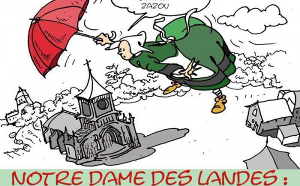 DESSIN DE PRESSE: L'aéroport de la discorde