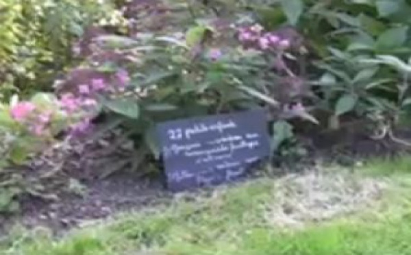 AUDIOGUIDE: Aux jardins de Viels-Maisons - 1