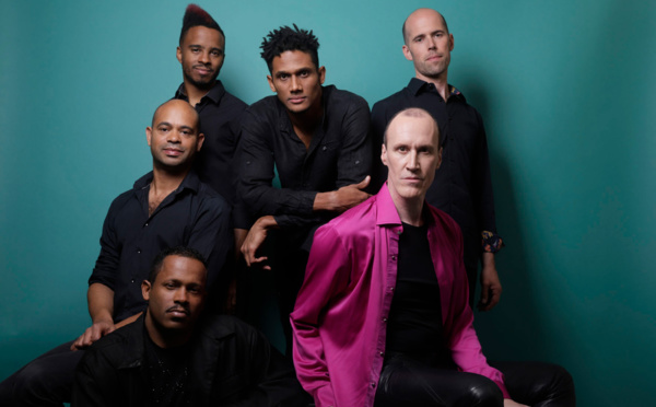 David Linx revient avec le clip de Prophet Birds