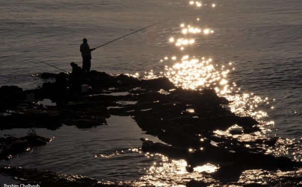 L’IMAGE DU JOUR – Pêcher la lumière