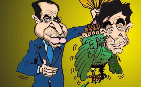 DESSIN DE PRESSE: L'art du buzz entre une dinde et un busard