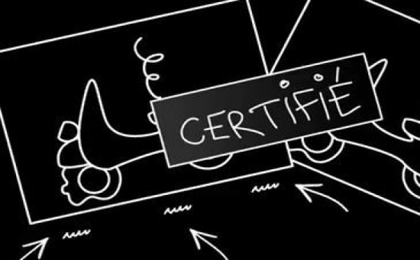 Une application pour faire des photos certifiées en cas d'accident