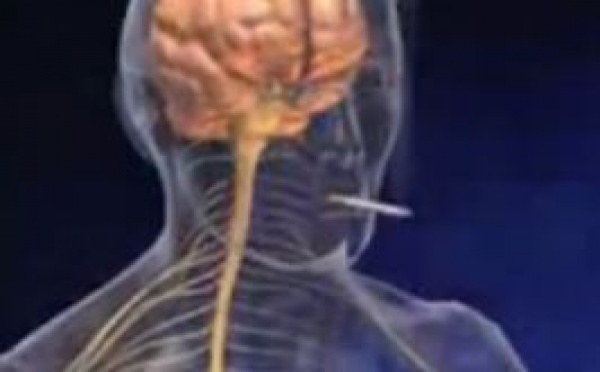 Le tabac, une menace mortelle dans le monde