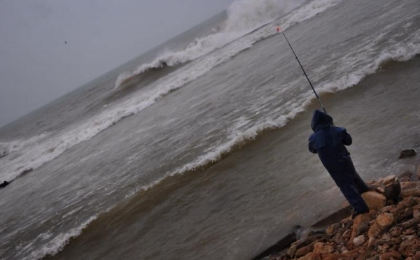 L’IMAGE DU JOUR – Travailler ou mourir de faim