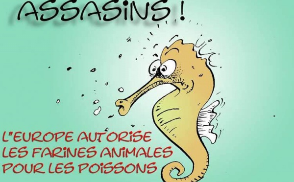 DESSIN DE PRESSE: Les poissons roulés dans la farine