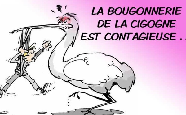 DESSIN DE PRESSE: Le spleen des jeunes parents