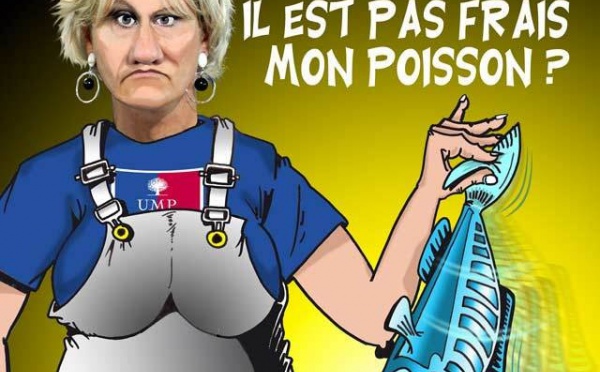 DESSIN DE PRESSE: Vache maigre pour le Salon de l'agriculture