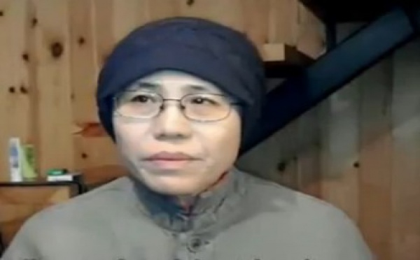Remise de la pétition pour la libération du prix Nobel chinois Liu Xiabo