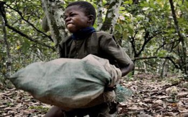 Courrier des lecteurs - Des enfants esclaves pour ramasser les fèves de cacao