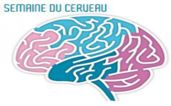 Le cerveau et l'alimentation