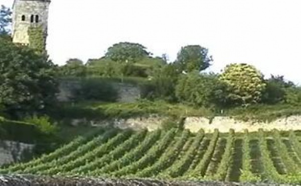 AUDIOGUIDE: A la découverte de Saint-Émilion - 2