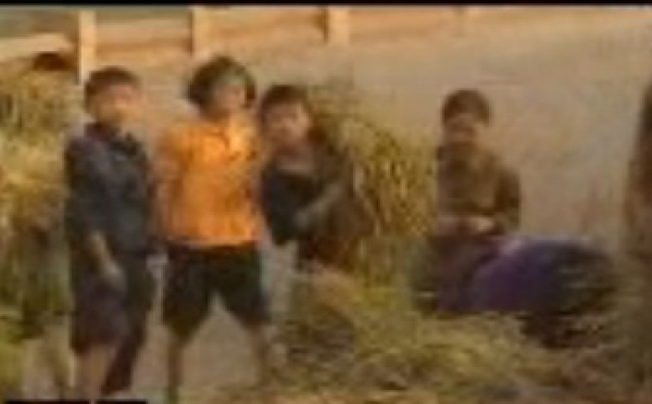 Corée du Nord: Nouvelle commission d'enquête de l'ONU