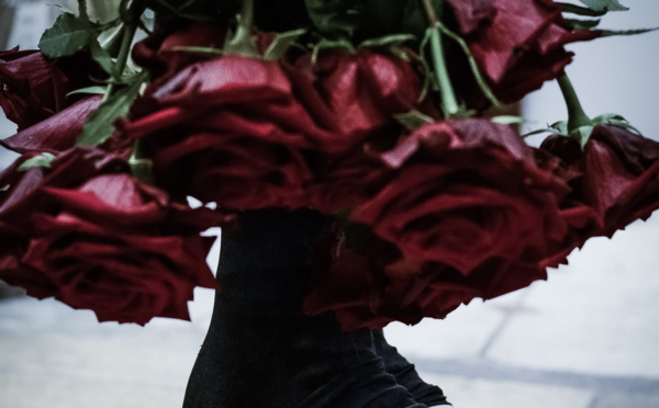 Les secrets de la rose