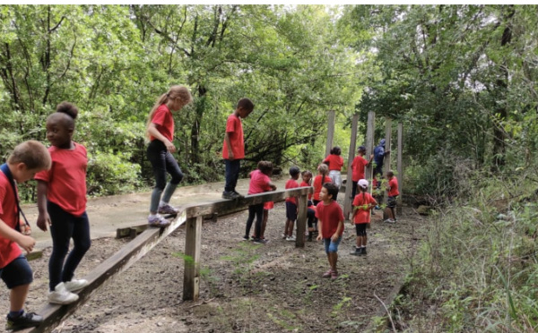 L’école Beraca, l’alliance entre enseignement traditionnel et pédagogie de la nature 