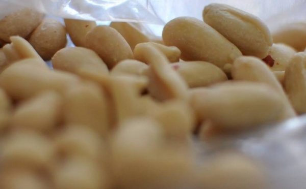 L’IMAGE DU JOUR – Arachides