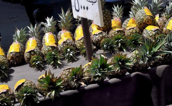 L’IMAGE DU JOUR – Ananas
