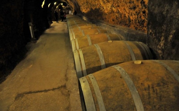 L’IMAGE DU JOUR – Cave à vin