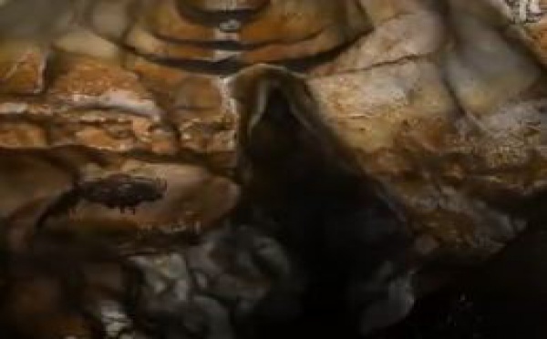 AUDIOGUIDE: A la découverte de la Dordogne, berceau de la préhistoire - 3