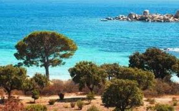 La Corse, il faut la vivre en nature!