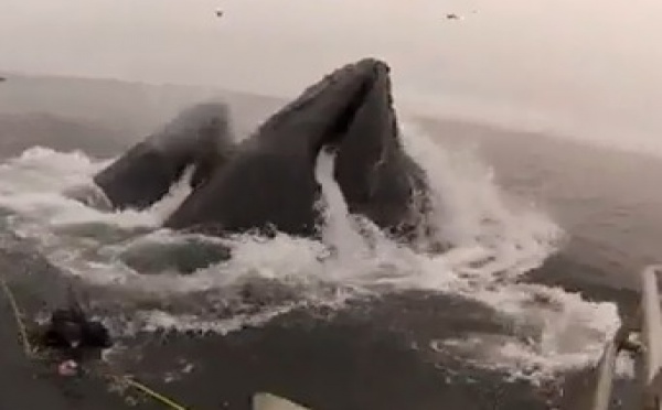 Les actus à la une du 24 juillet 2013