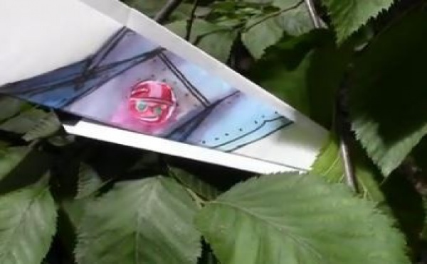 La sélection d'Eva: Paper plane