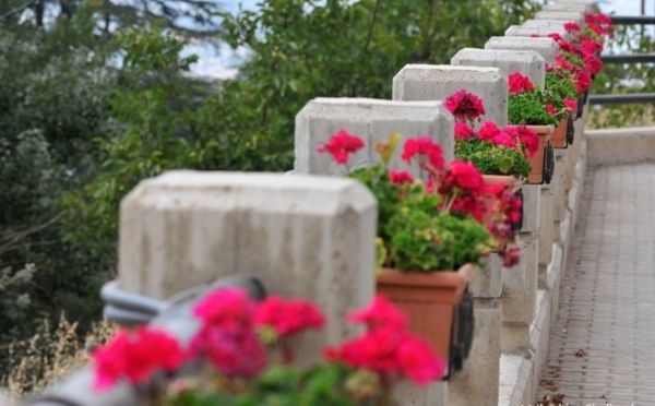 L’IMAGE DU JOUR – Pots de fleurs