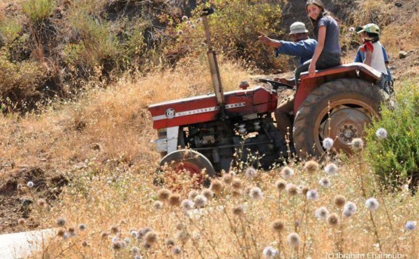 L’IMAGE DU JOUR – Sur le tracteur