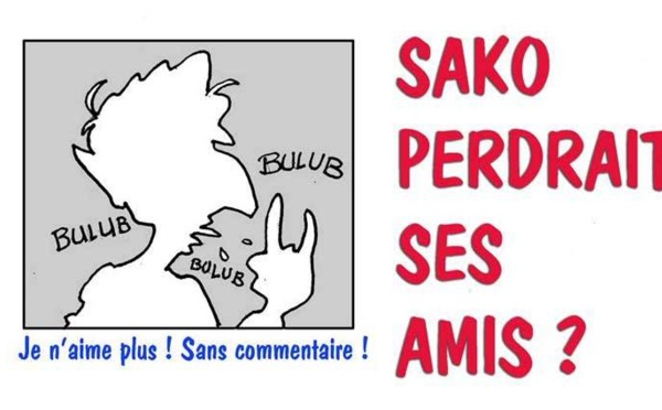 DESSIN DE PRESSE: Barons ou larrons?