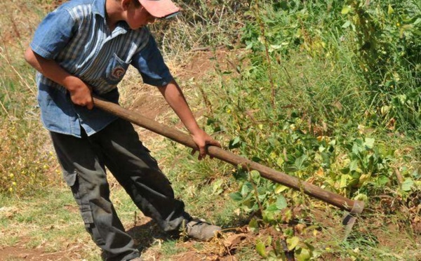 L’IMAGE DU JOUR – Enfant agriculteur