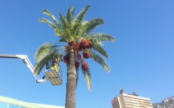 IMAGE DU JOUR: Les aventures de Léon Camay - 3