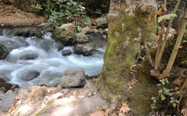 L’IMAGE DU JOUR – L’eau de la rivière