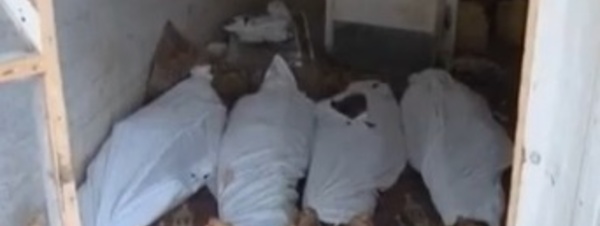 Nigeria: Enfants massacrés, écoles assiégées