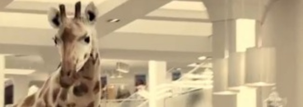 Faites votre cinéma!