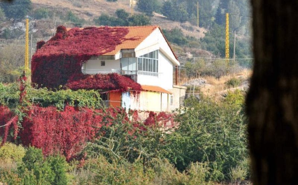 L'IMAGE DU JOUR – Couleurs de l’automne