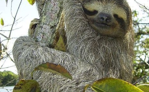 IMAGE DU JOUR: Les aventures de Léon Camay - 9