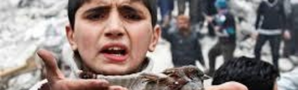 TRIBUNE: Les origines de la guerre sont dérisoires et injustes