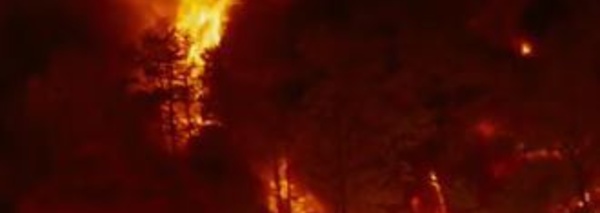 Faites votre cinéma!