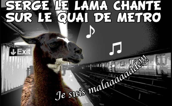 DESSIN DE PRESSE: Feux de la rampe du tram pour Serge le lama