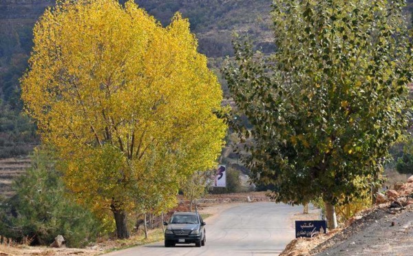 L’IMAGE DU JOUR – Couleurs et saisons