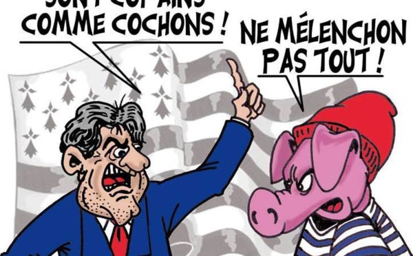 DESSIN DE PRESSE: La manif mêlant cochons atteints de rouget