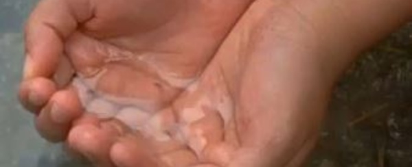 Faites votre cinéma!