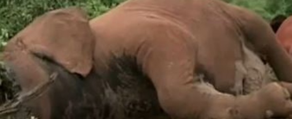 Actus à la une du 5 décembre  2013