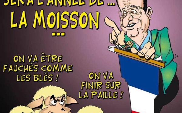 DESSIN DE PRESSE: La tonte continue en 2014?