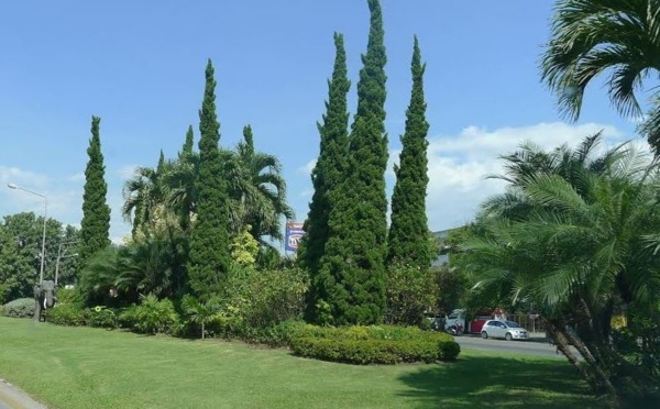 IMAGE DU JOUR: Les aventures de Léon Camay - 17