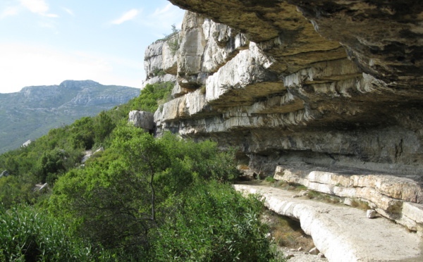 Première édition du concours de nouvelles Marcel-Pagnol